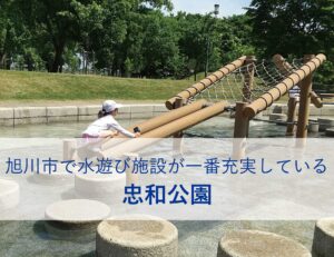 旭川市で一番基本遊具が充実している東光スポーツ公園 寅パパブログ