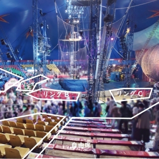 【木下大サーカス】おすすめ座席を会場写真を使って検証！